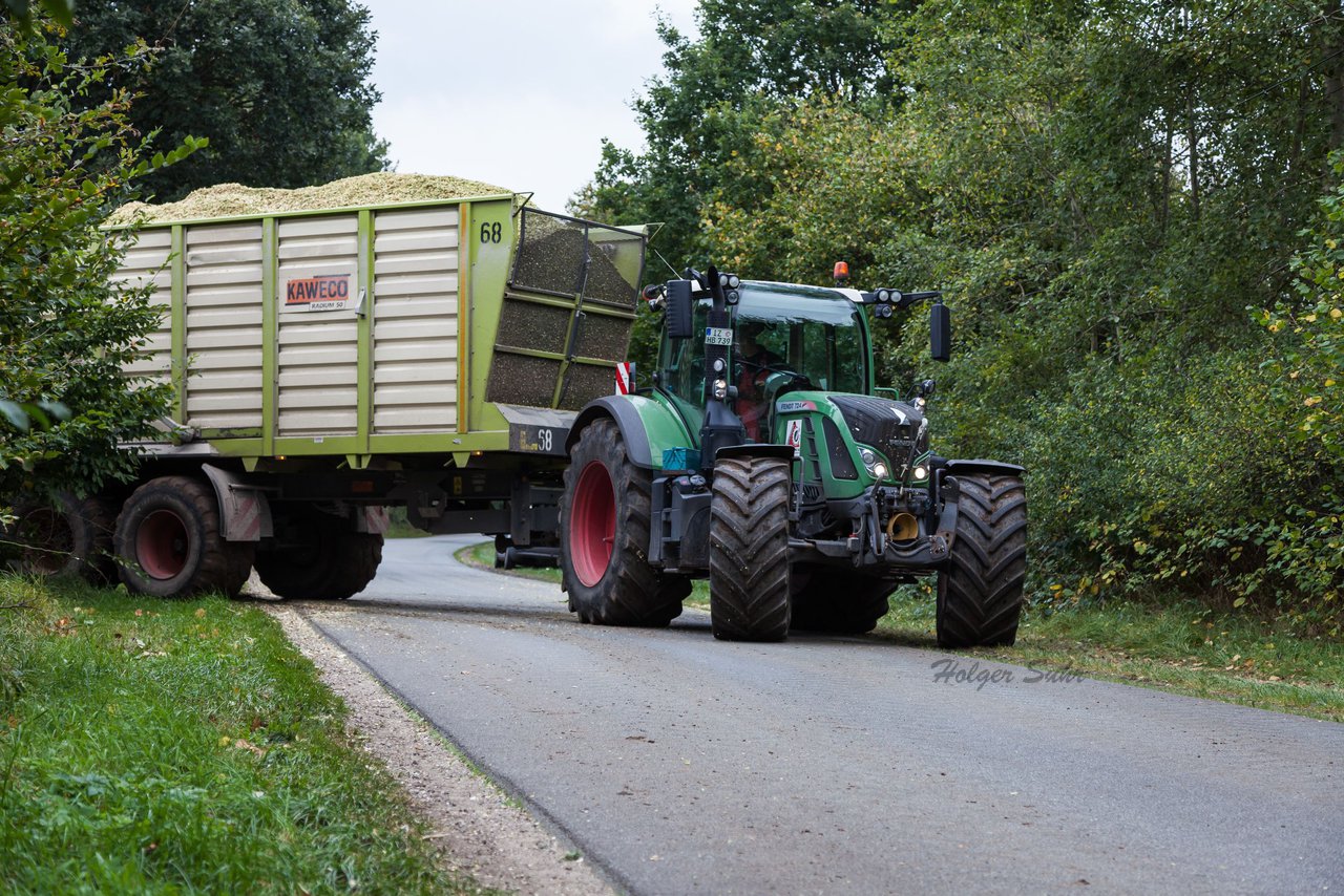 Bild 224 - Maisernte